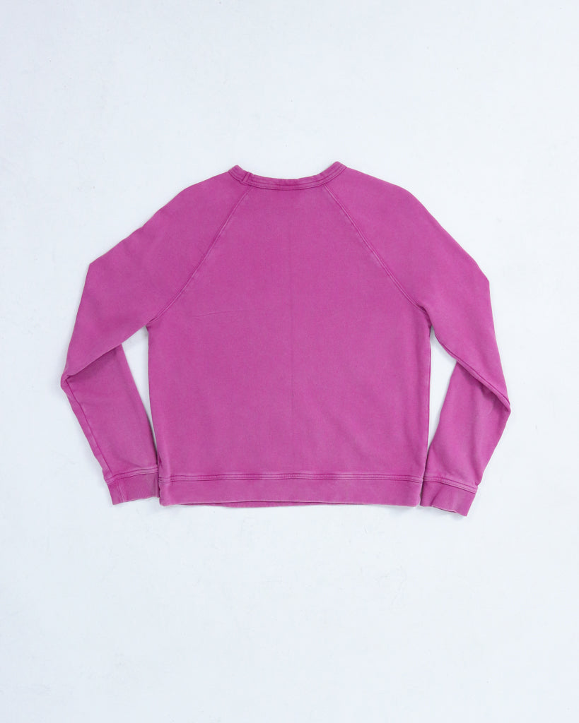 Alien Earth Day Sweatshirt - Pink Purple (Small)