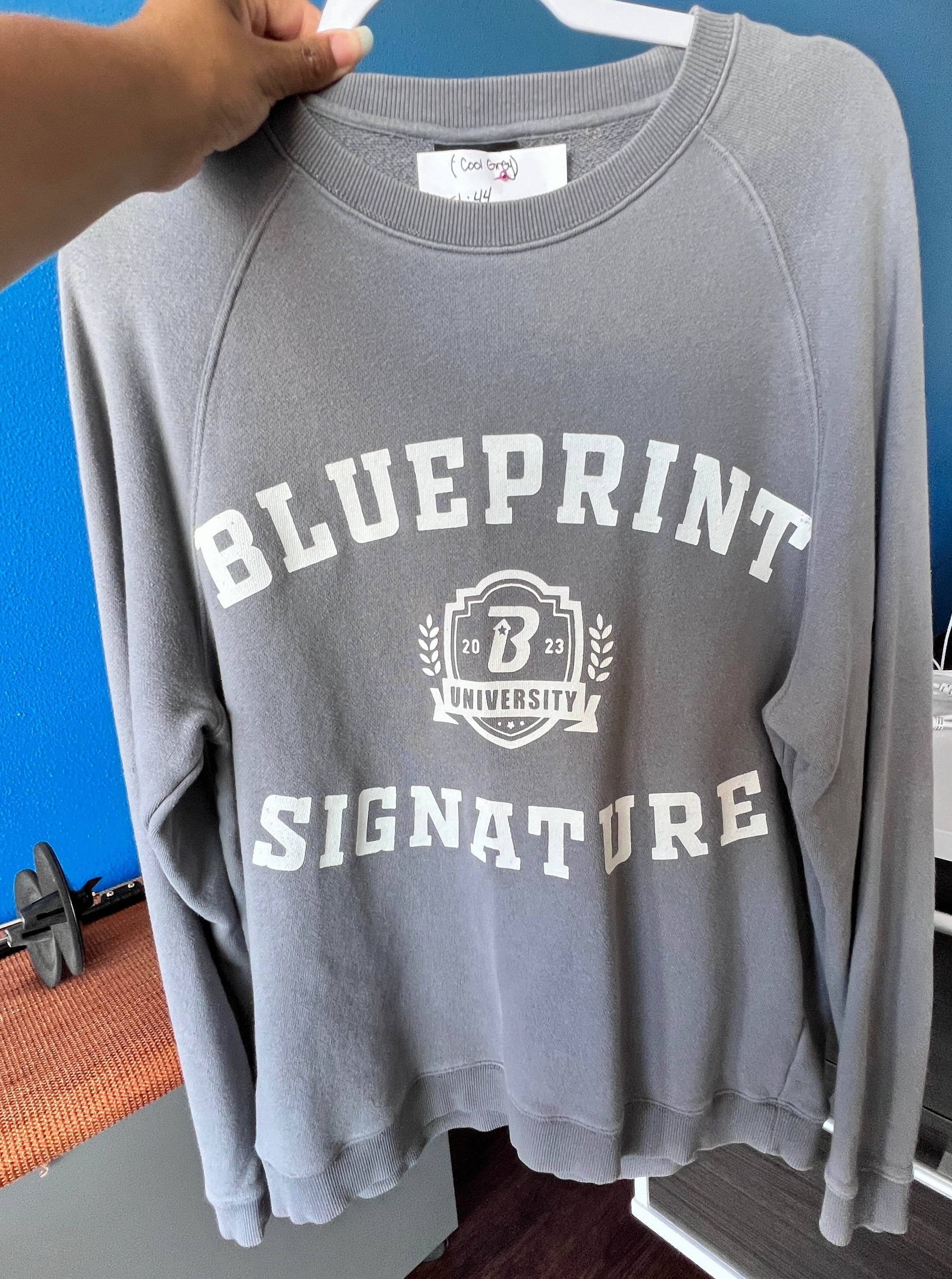 Blueprint University Sweatshirt - Cool Gray (L)